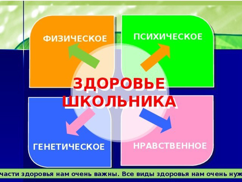 Какой вид здоровья важнее. Виды здоровья. Здоровье школьника. Психическое здоровье школьника. Виды здоровья физическое психическое нравственное.